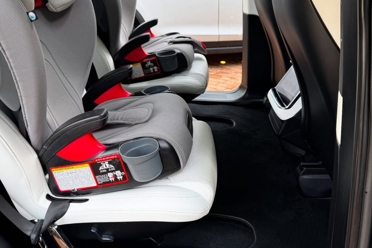 Pet hair removal from car seats during interior detailing in Berkeley, CA